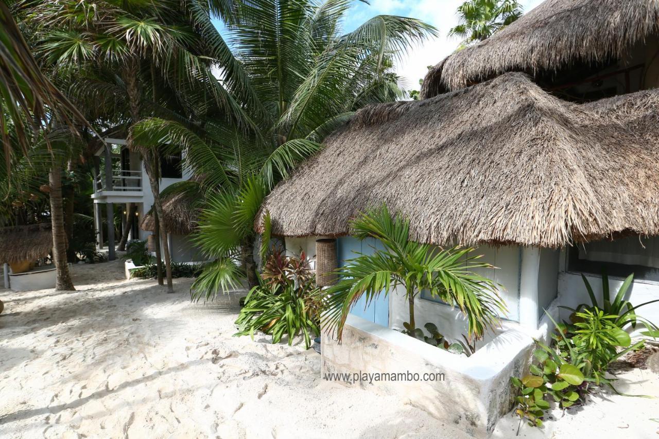 Playa Mambo Eco Cabanas 호텔 툴룸 외부 사진