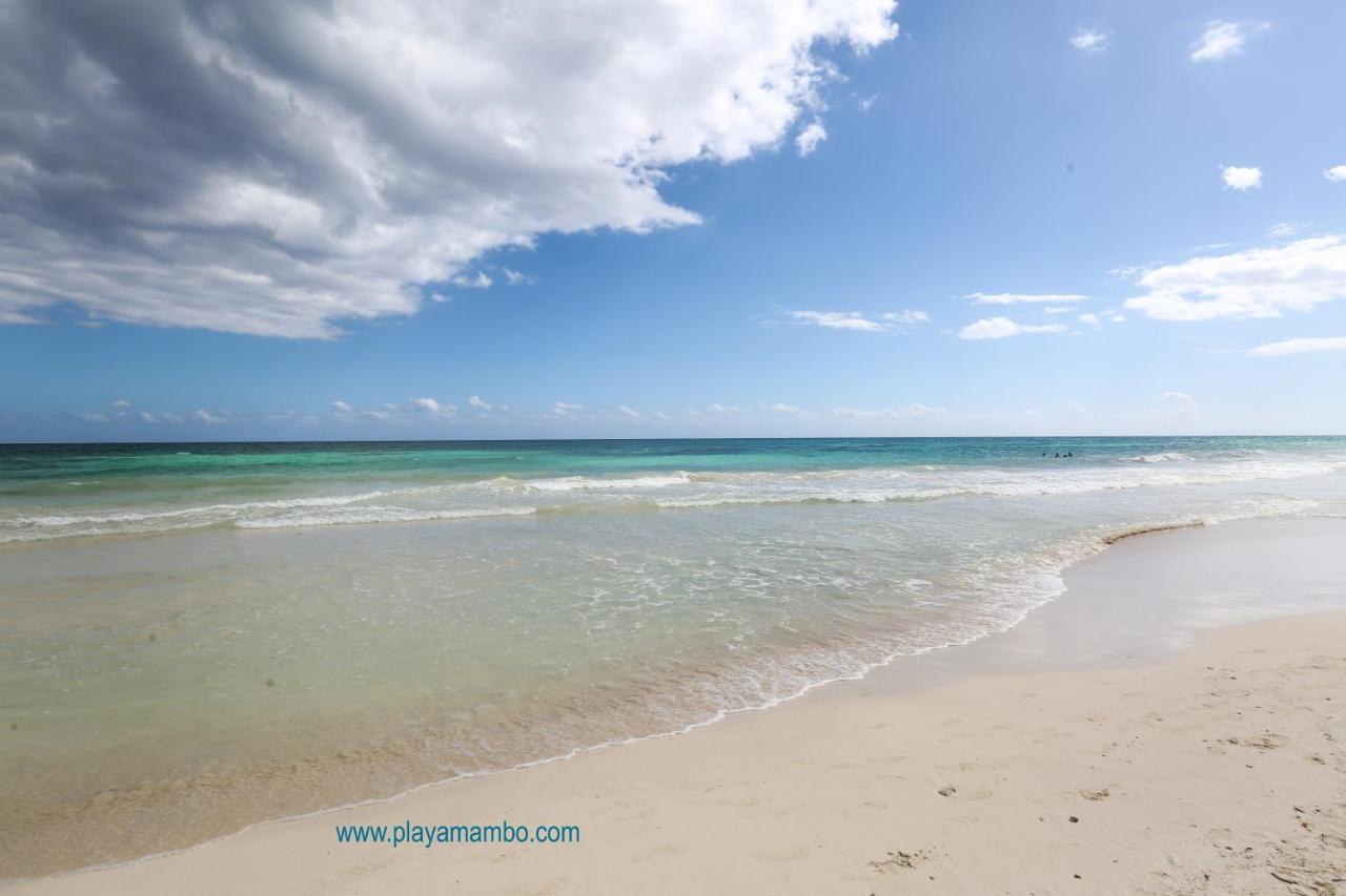 Playa Mambo Eco Cabanas 호텔 툴룸 외부 사진