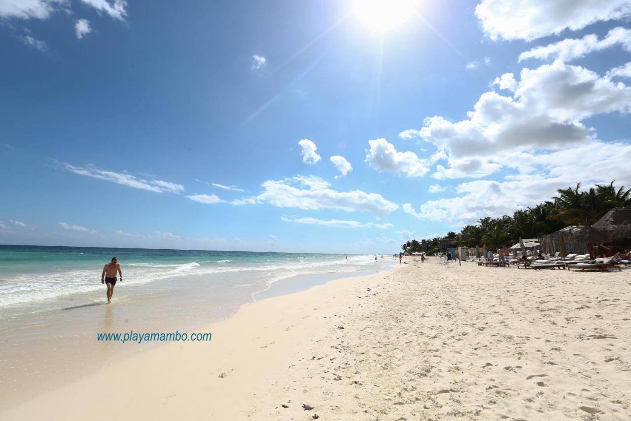 Playa Mambo Eco Cabanas 호텔 툴룸 외부 사진