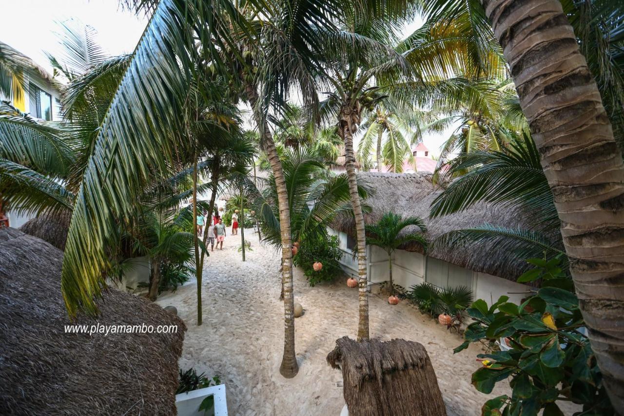 Playa Mambo Eco Cabanas 호텔 툴룸 외부 사진