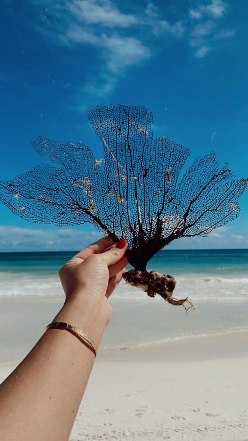 Playa Mambo Eco Cabanas 호텔 툴룸 외부 사진